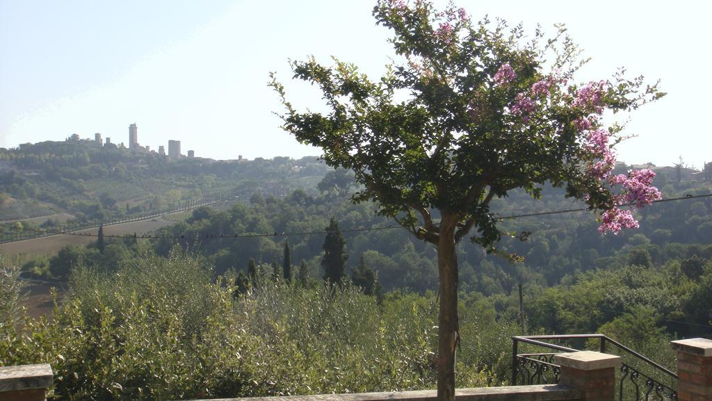 סן ג'ימיניאנו Agriturismo Raccianello מראה חיצוני תמונה